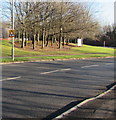 Waterfowl sign alongside Llantarnam Park Way, Cwmbran