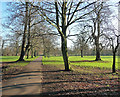 Path, Beddington Park (1)