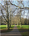 Path, Beddington Park (2)