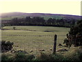 Frosty ground, Eden Back