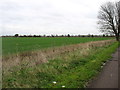 Farmland near Waterloo Farm