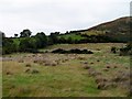 Rough pasture between the B30 and the Sugar Loaf Hill