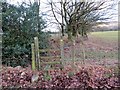 Llwybr Cyhoeddus Rhigos Public Footpath