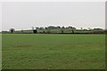 SJ3917 : Field, Felton Butler by Richard Webb