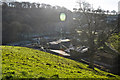 North Devon : Grassy Field