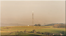 SD4966 : Telecommunications Mast by Peter McDermott