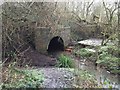 Westport Lake: bridge over stream in the Conservation Area