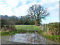 Icy field entrance