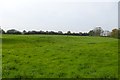 NU2414 : Pasture at southern end of Longhoughton by DS Pugh