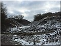 Clay pit below Bradwell Woods