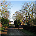 Fulbourn: Sanders Lane