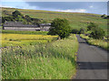 Road at Far Skelgill, Alston