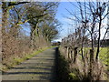 Approaching Standardhill Farm, near Elham