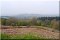 SO9380 : View towards across Hagley Park Wychbury Hill by Phil Champion