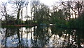 Reflected in the Canal