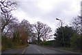 Lay-by on Uffculme Road, on the edge of Uffculme