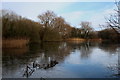 Frozen Hay A Park Lake