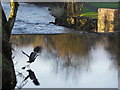 H4672 : A heron takes off, Camowen River by Kenneth  Allen