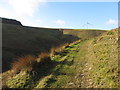 SS9689 : Path above Cwm Dyfolog by Gareth James