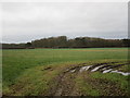 View towards Stubbs Wood