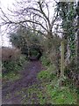 Footpath leading south from Silver Street, Culmstock