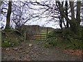 ST1112 : Gate in a hedgebank, Hackpen Hill by David Smith