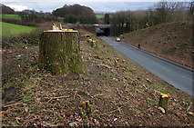 SD4964 : Site of Shefferlands Bridge by Ian Taylor
