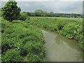 River Rother