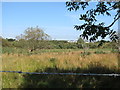 View east across Loughaveely Fen towards Glasdrumman Chapel and the Castlerock Estate