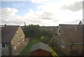 Rooftops by the Harrogate Line