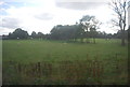 Farmland by Harrogate Line