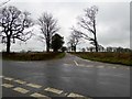 The road to Collard Hill Farm