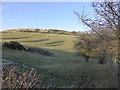 Fields near Bryn-Kenrick