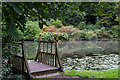 Wightwick Manor pond on a murky day