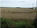 Crop field east of Cockshut Lane