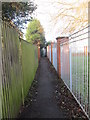 Footpath - Holmsley Lane