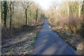 SO9245 : woodland track in Tiddesley Wood by Philip Halling