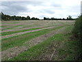 Stubble field off the A632, Langwith