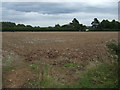 Farmland near Sookholme Lodge Farm