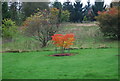 Autumn colour, National Pinetum