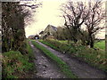 Lane to a farm, Kennystown