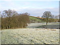 NY6366 : Frosty farmland south of Irthing House by Mike Quinn