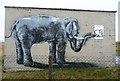 SE0132 : Elephant artist on disused building by Humphrey Bolton