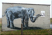 SE0132 : Elephant artist on disused building by Humphrey Bolton