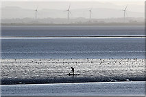 NY1464 : The Solway Firth at Powfoot by Walter Baxter