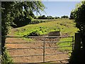 Pasture, Burnford