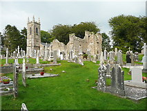 S7237 : Ruined church and graveyard at St Mullin's by Humphrey Bolton