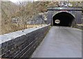 SK1273 : Chee Tor tunnel #2 eastern portal by Steve  Fareham