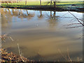 SP2965 : River Avon by Emscote Gardens, Warwick 2014, December 29, 12:56 by Robin Stott