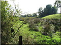 Damp grazing land near the Lurgancullenboy Road/Murrays Road junction